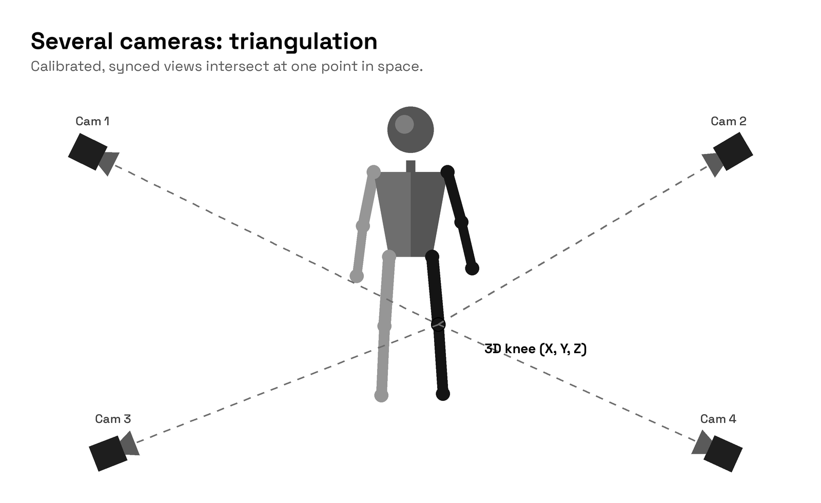 Four cameras around a person, with rays meeting at the knee.